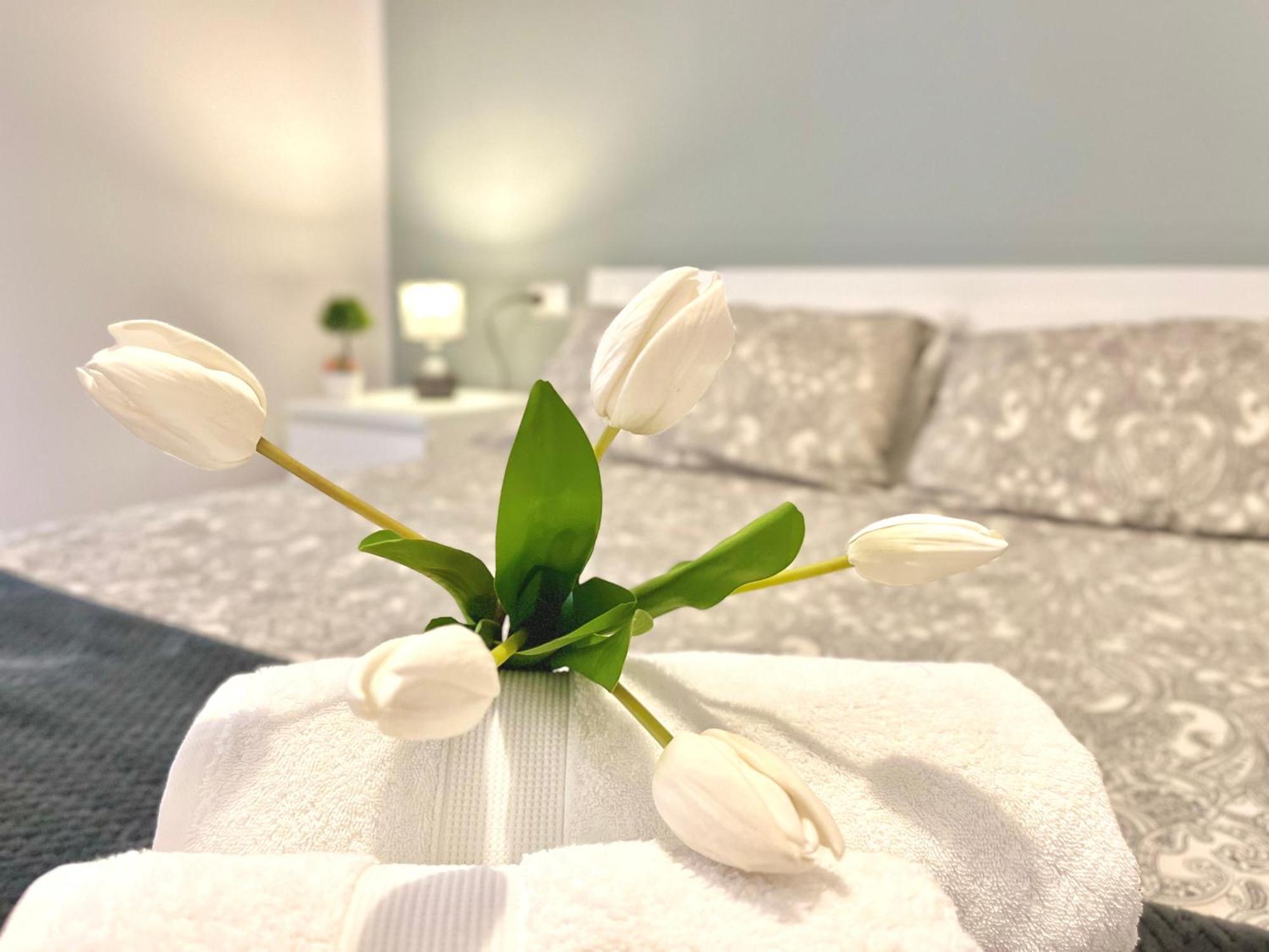 Archivio 32 Neapolitan Apartment Екстериор снимка
